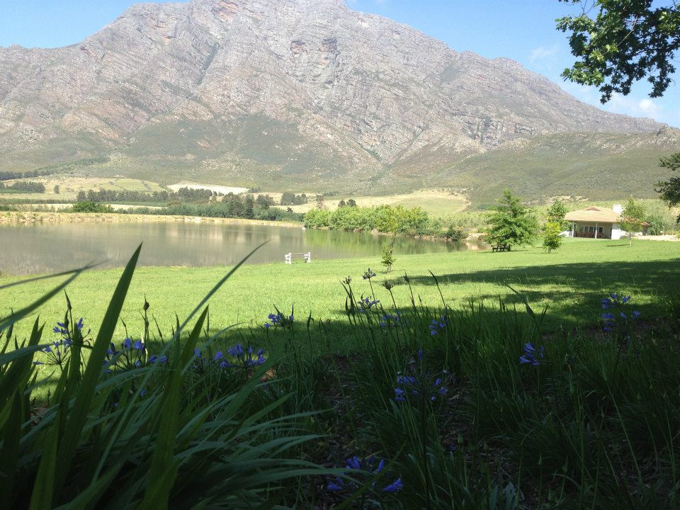 Land in Tulbagh - Gardens