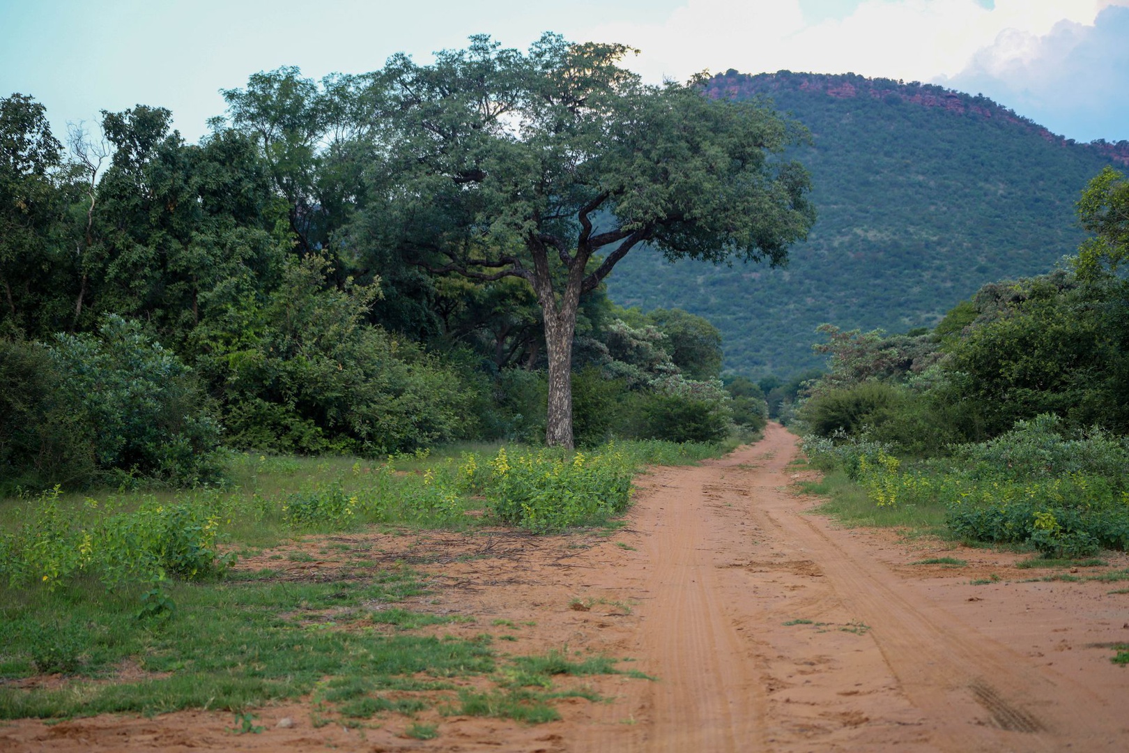 Land in Thabazimbi Rural - Farm roads