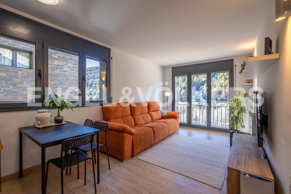 Apartment in Soldeu - Nice living room