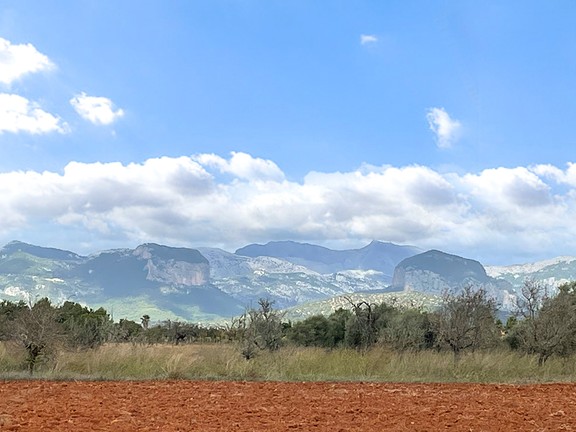 Precioso terreno con vistas a la Sierra de Tramuntana