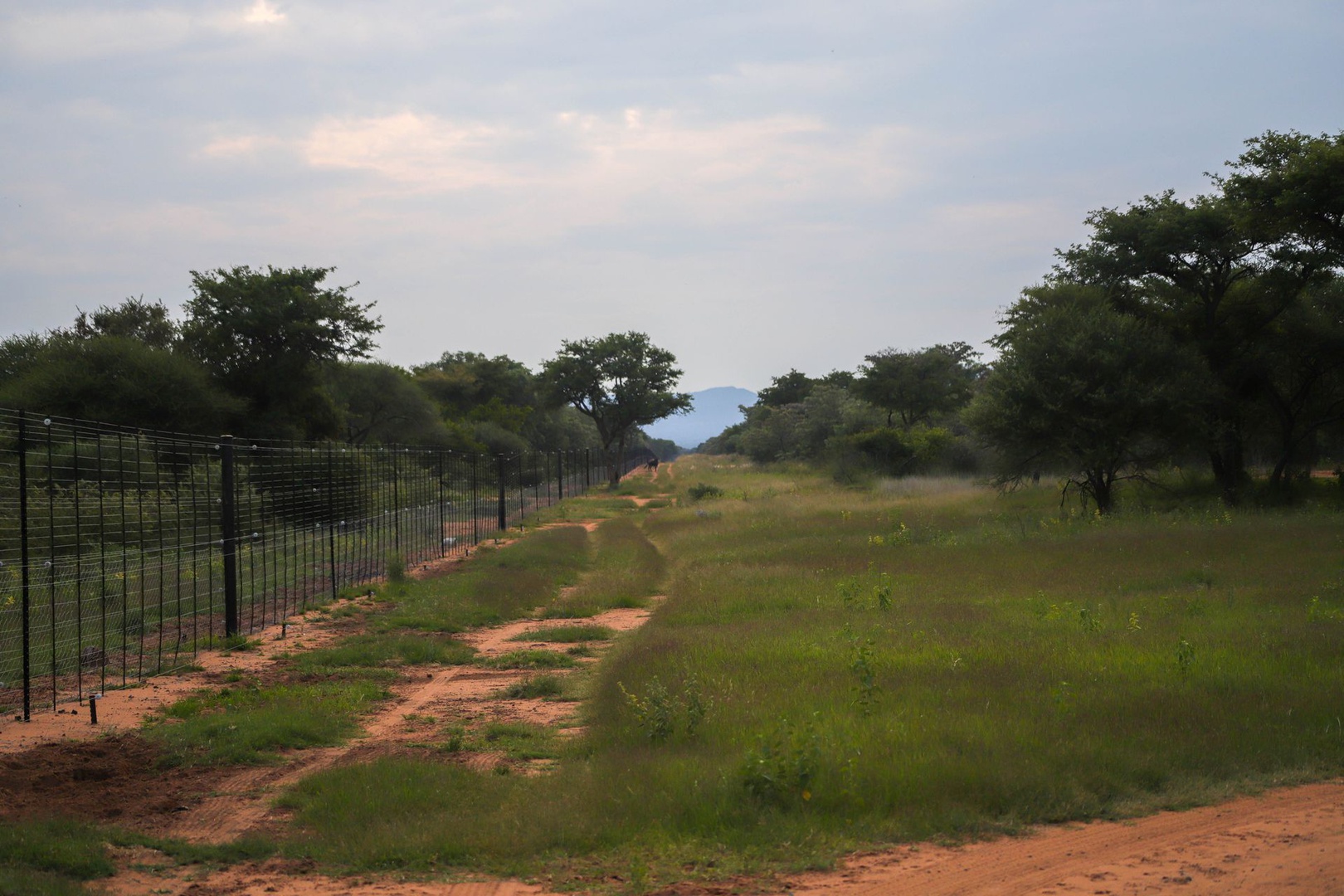 Land in Thabazimbi Rural - Farm