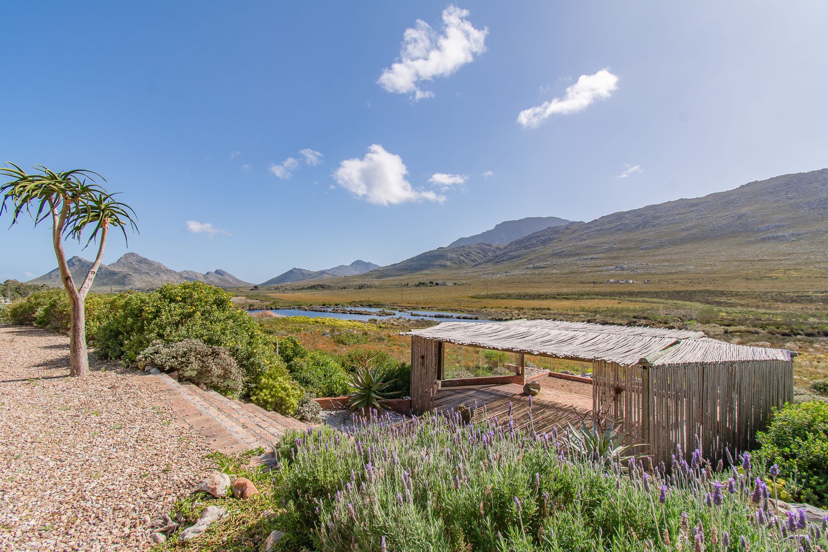 House in Pringle Bay Rural - 8.56ha of natural fynbos surrounds