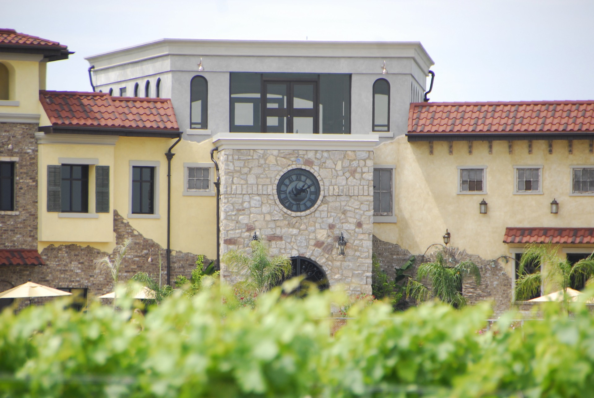 Estate Winery