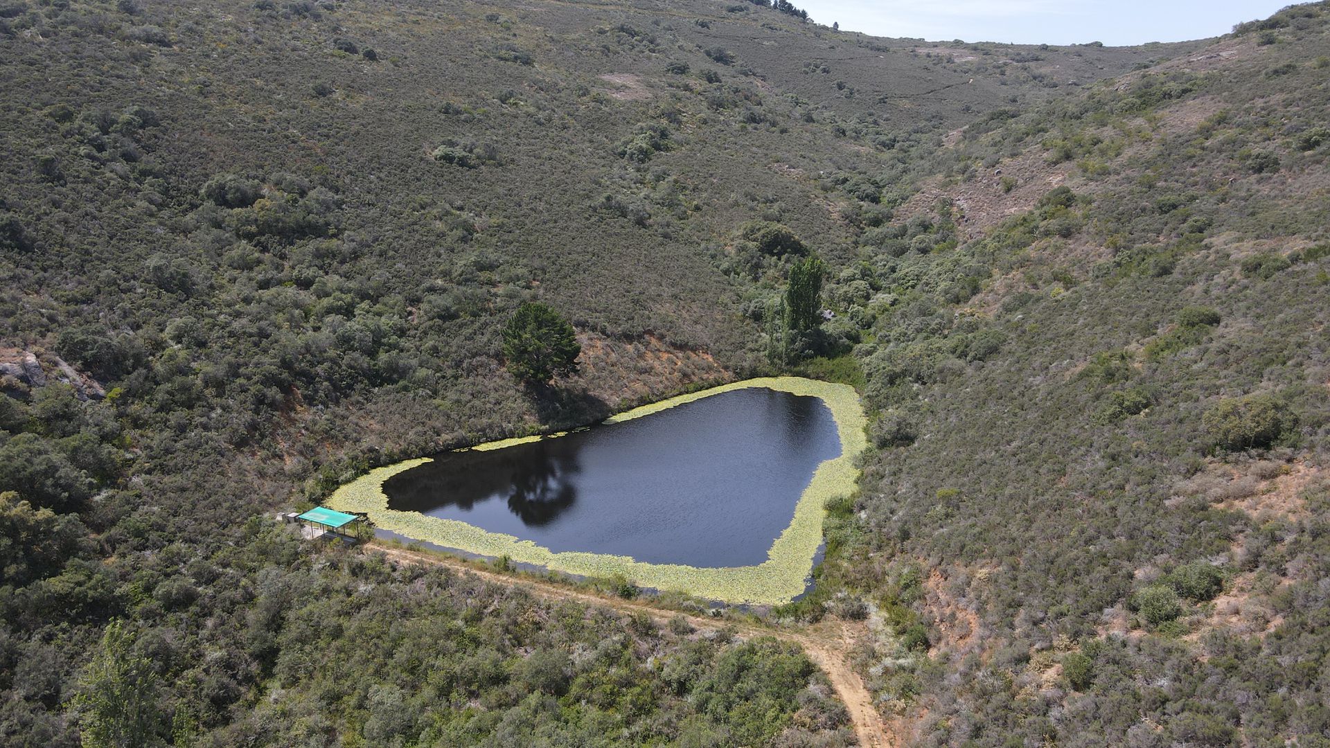 Land in Stellenbosch Farms - Irrigation dam