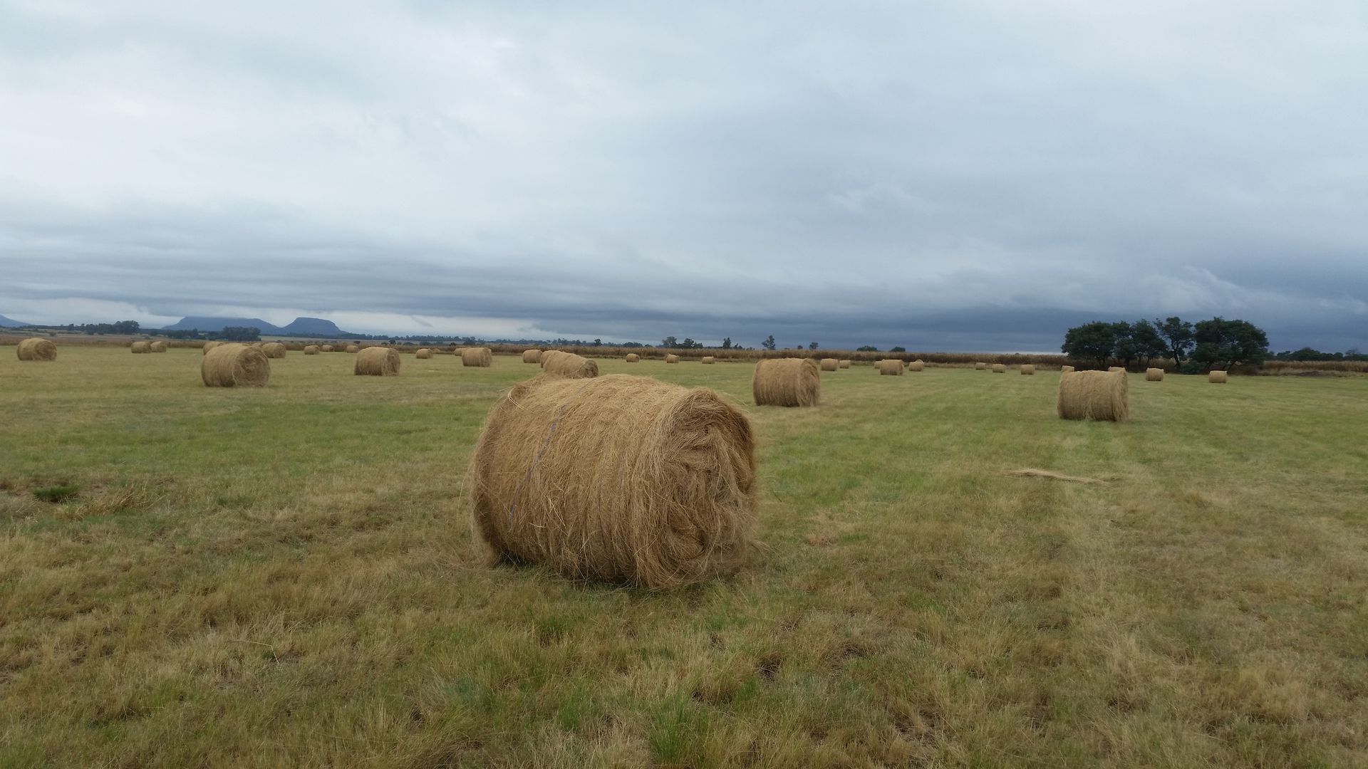 Land in Dundee Rural - WF Pretorius (2).jpg