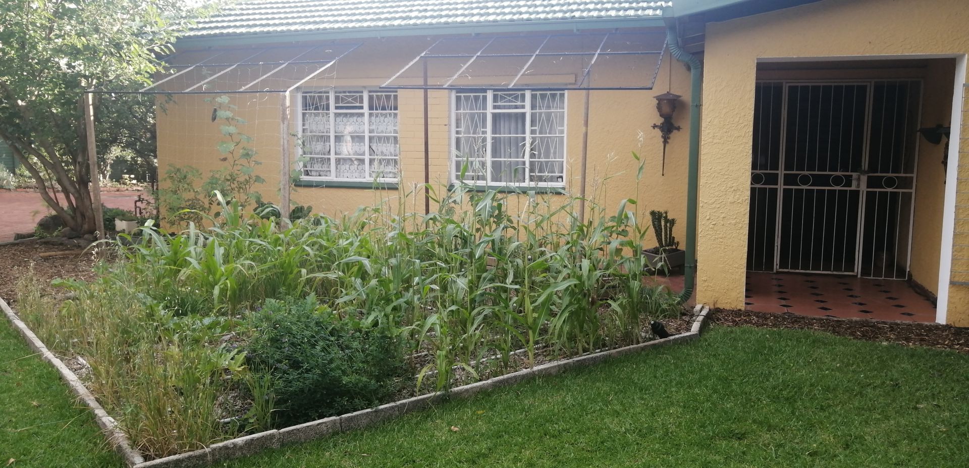 Spacious family house for sale in the heart of Bloemfontein