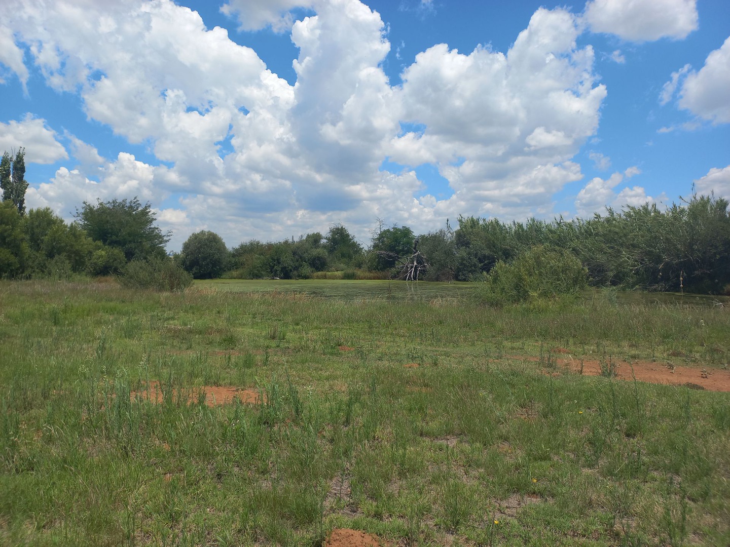 Land in Bloemfontein Rural - 20230205_131018.jpg
