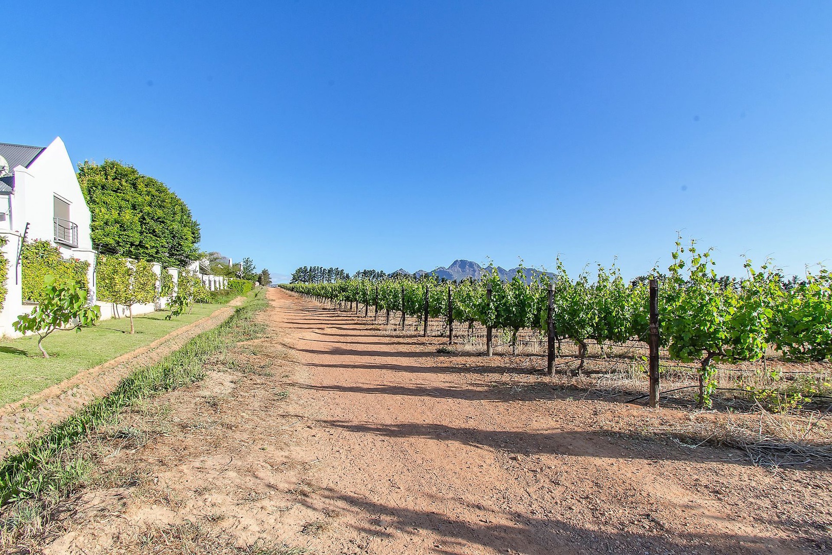 Land in La Pastorale - Trails Amongst Vineyards Adjacent To Estate