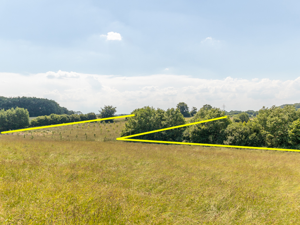 Grundstück in Gottesgabe - Blick auf die 4,3 ha landwirtschaftliche Fläche