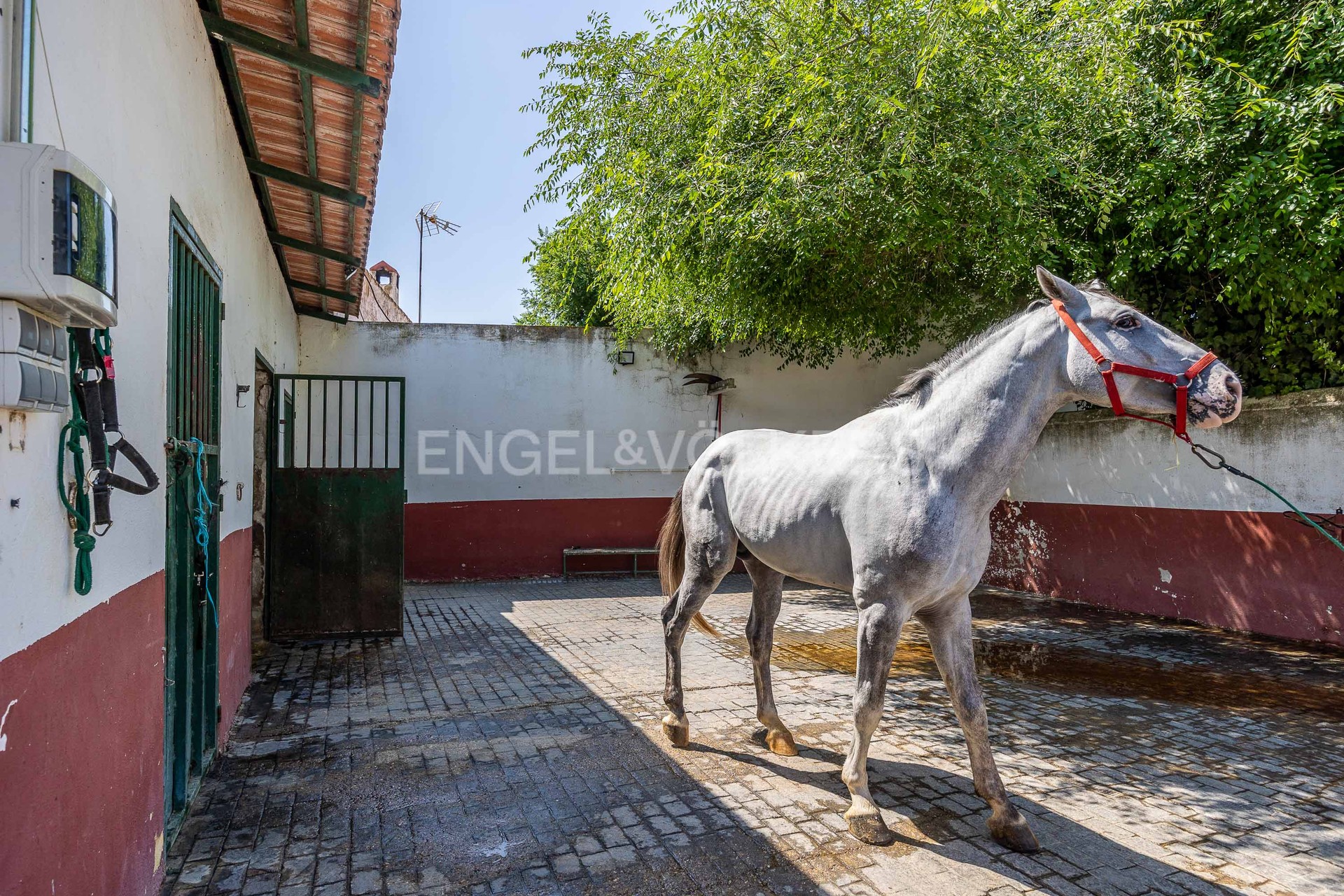 Casa en Burguillos - Detalle zona limpieza caballos exterior.