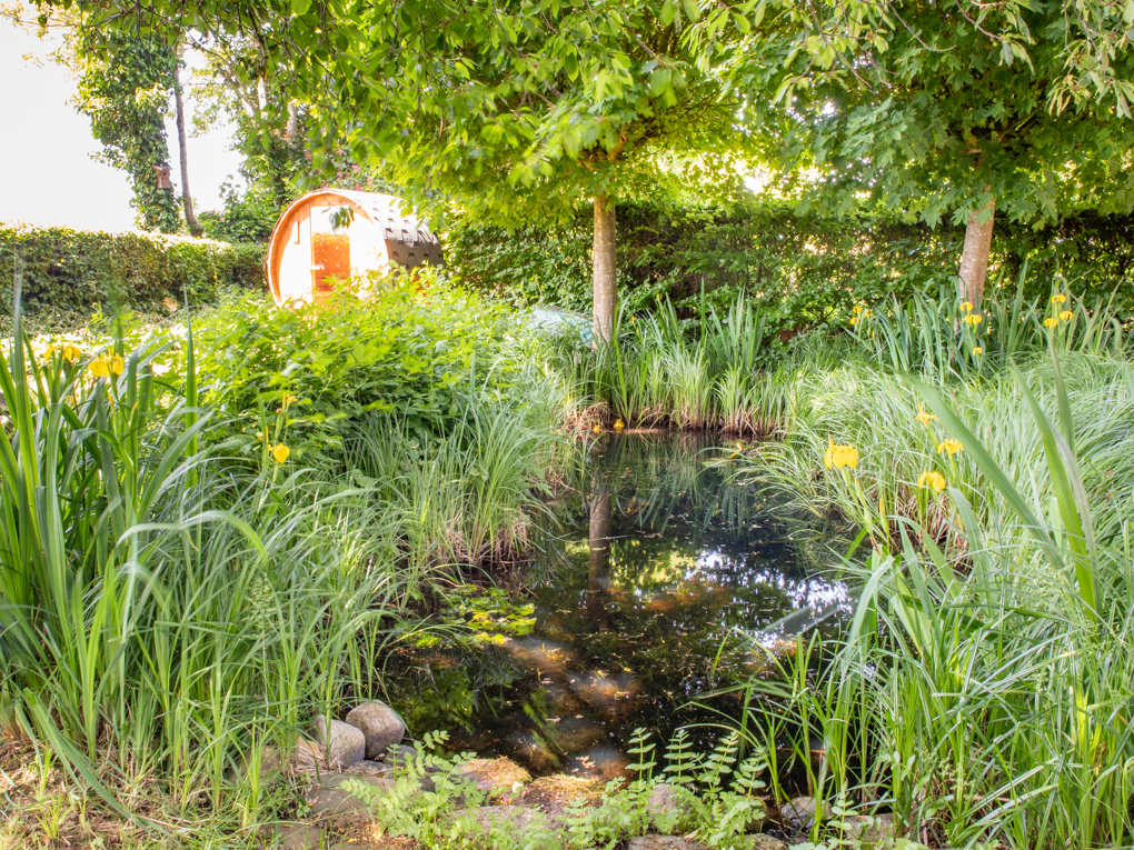 Haus in Bad Segeberg - Der Teich im Garten