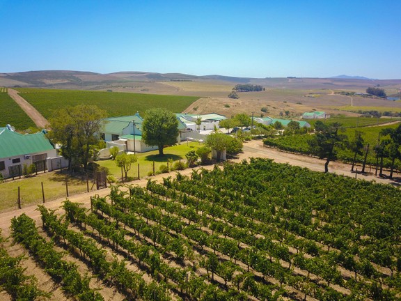 Wine Farm for sale, Western Cape, South Africa .jpg