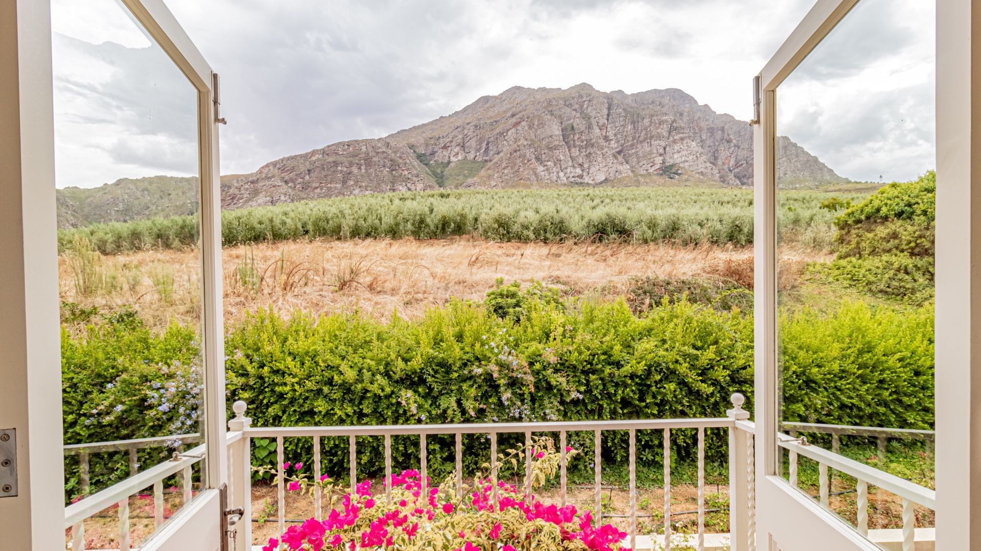 Land in Tulbagh - Image-016.jpg