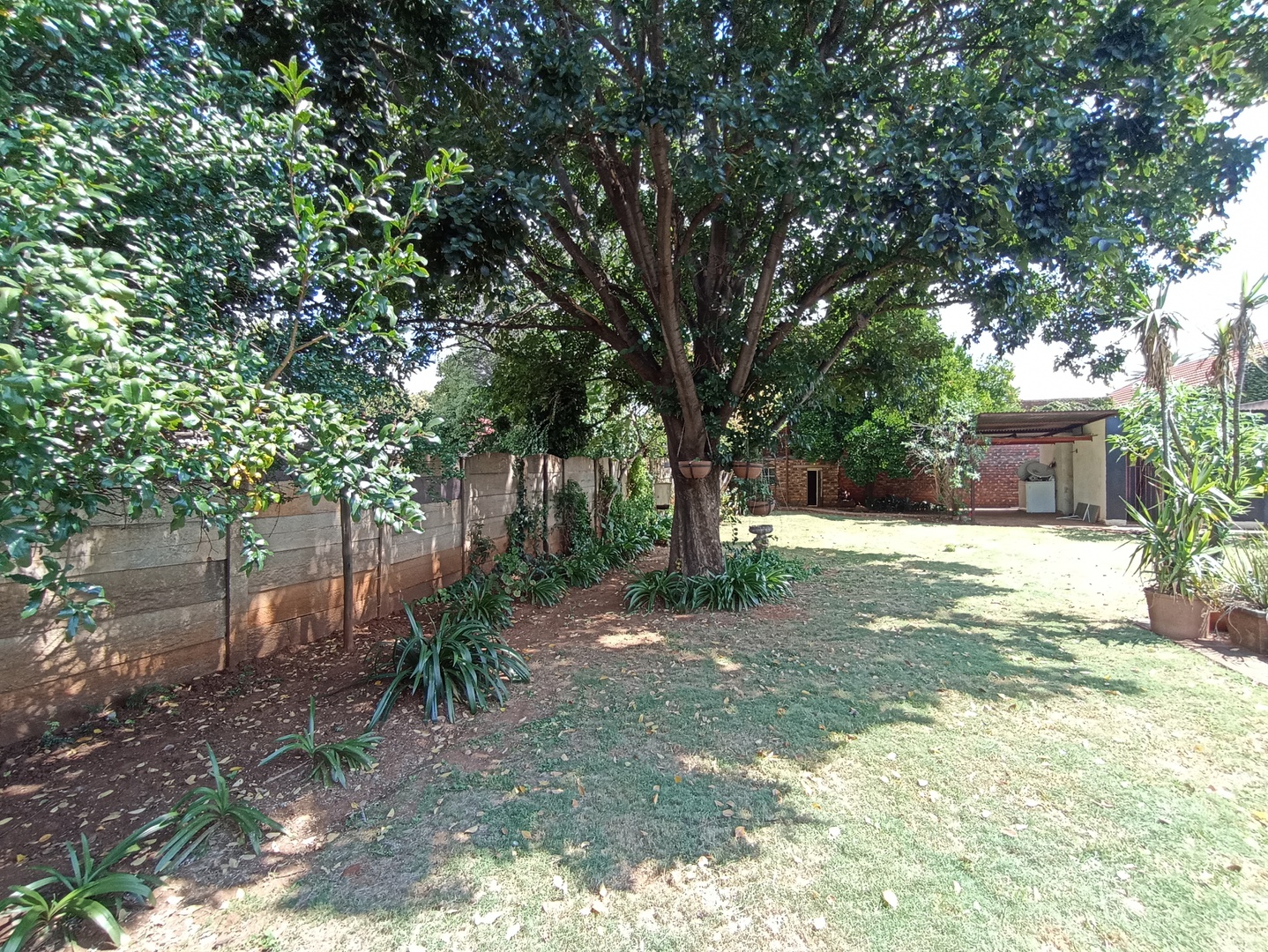 House in Potchefstroom Central - Back garden