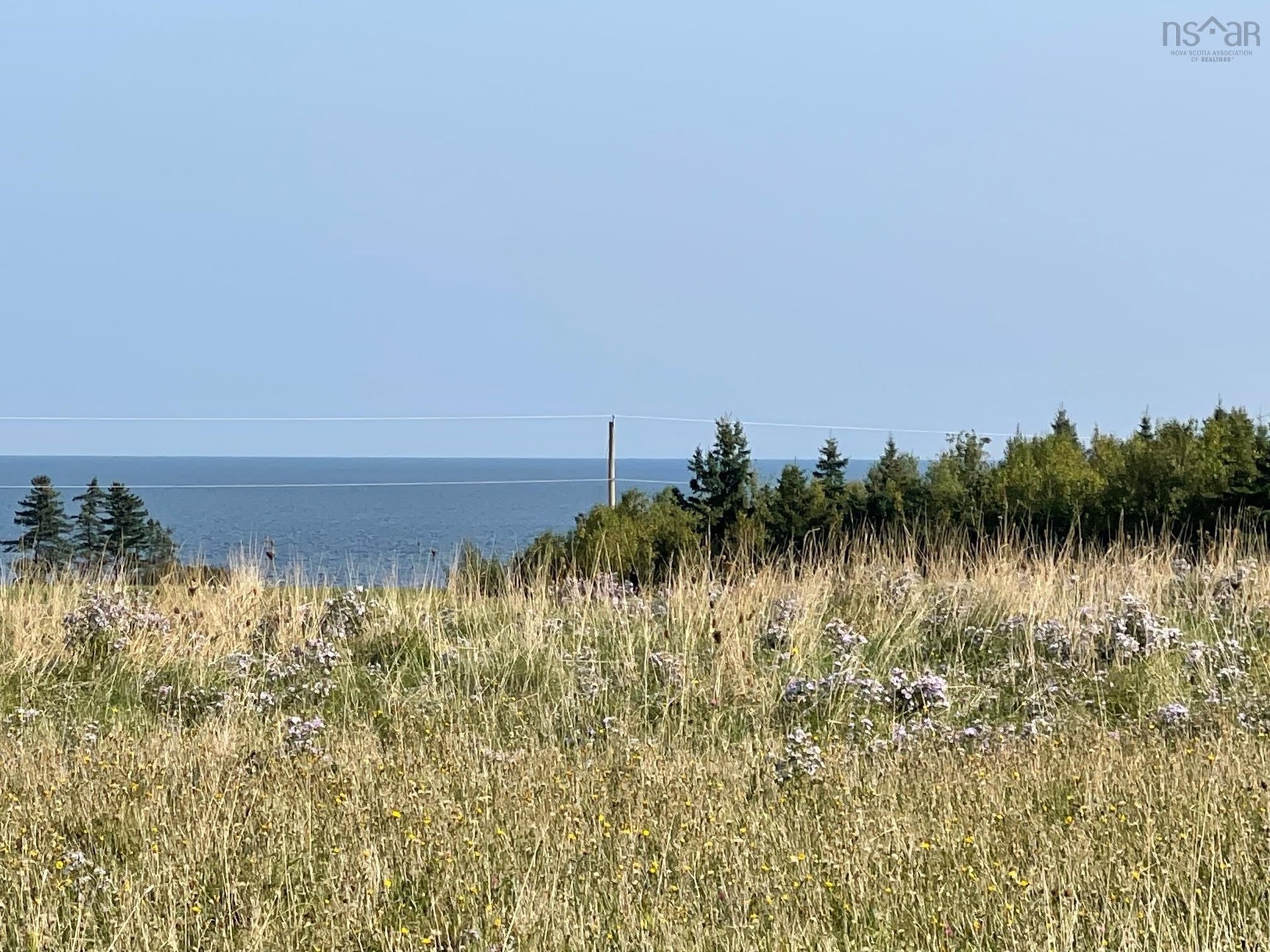 113256 square feet Land in Pugwash, Nova Scotia
