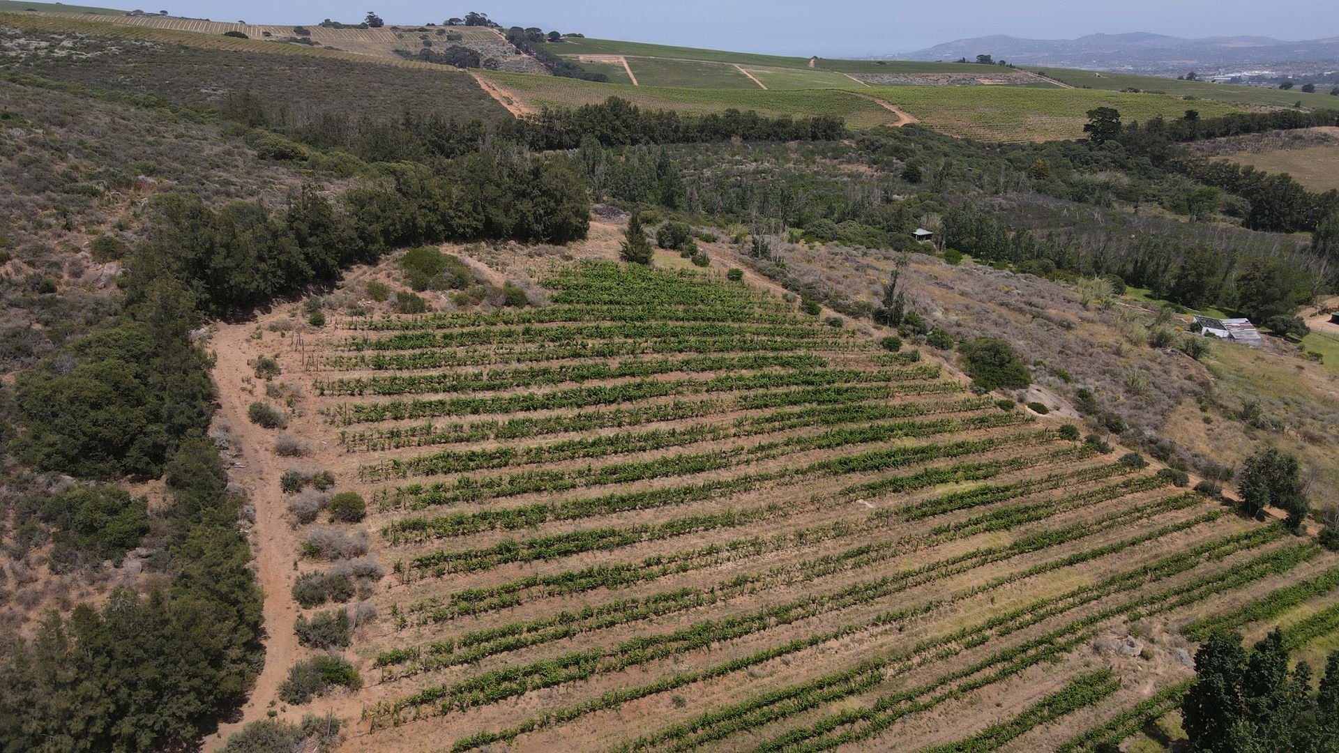 Land in Stellenbosch Farms - Vineyard