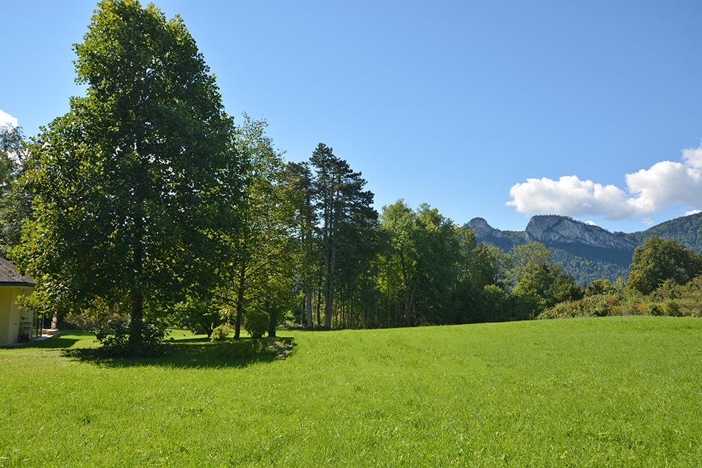 Land in Salzburg Umgebung