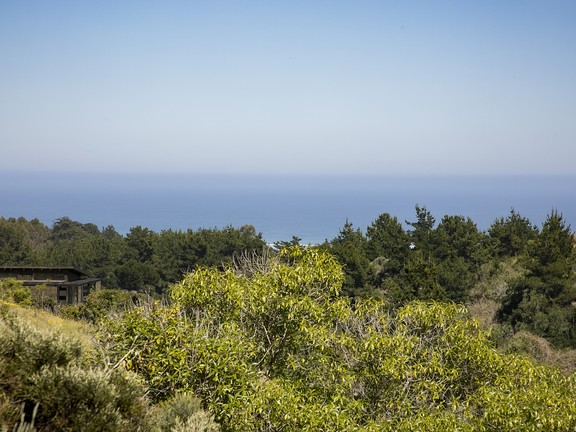 Reserva Natural en Punta de Lobos 14.jpg