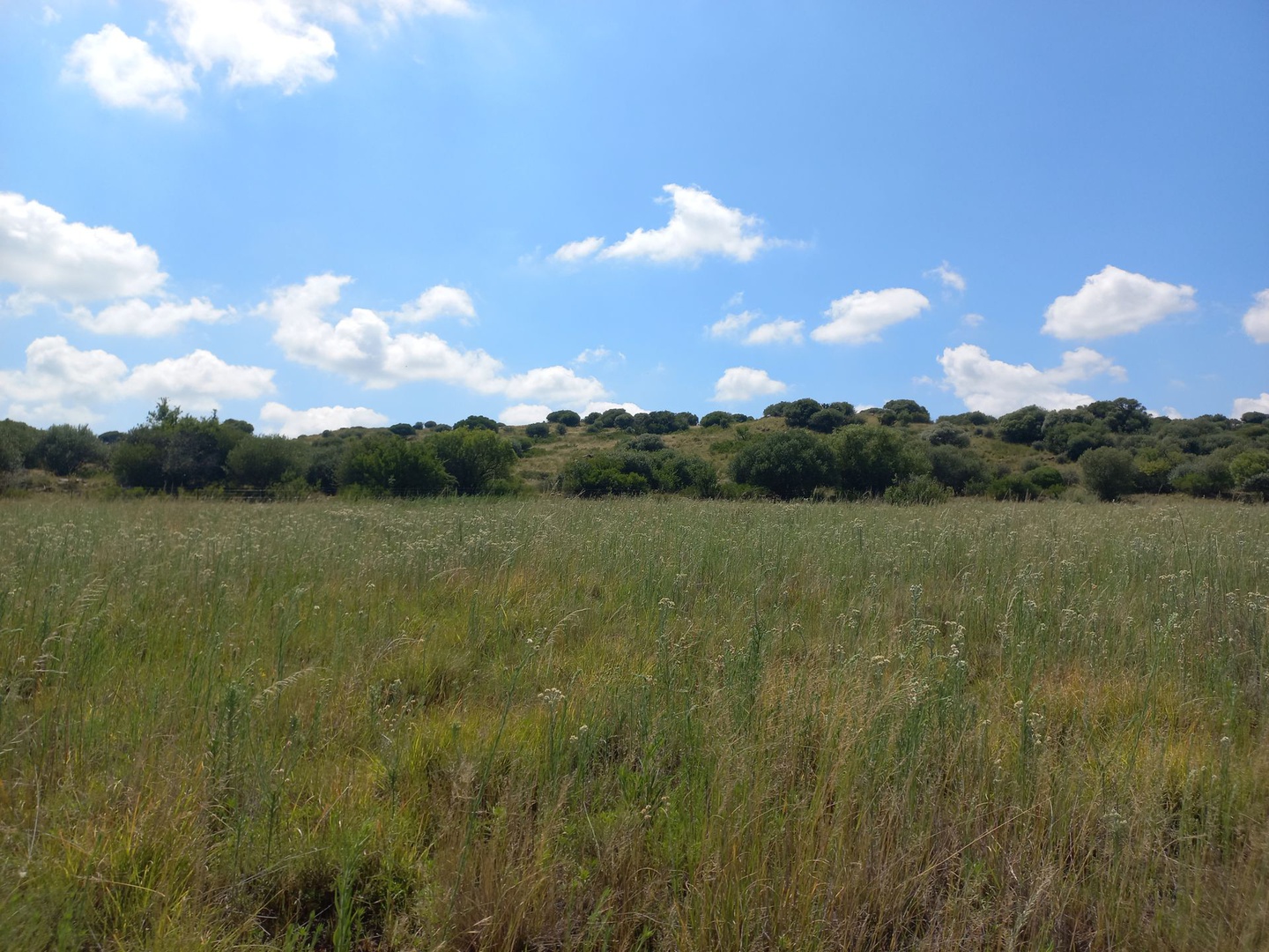 Land in Bloemfontein Rural - 20230205_104112.jpg
