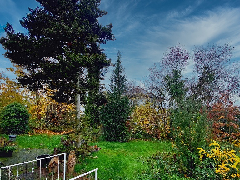 Grundstück in Kelkheim - Blick von der Terrasse aus
