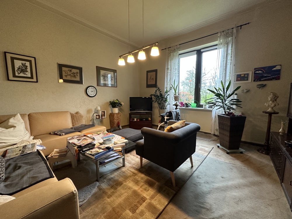 Investment / Wohn- und Geschäftshäuser in Zweibrücken - Wohnzimmer