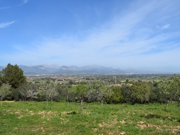 5 urban plots with lovely views in Santa Eugenia
