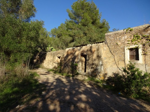 Gran terreno rústico con casas antiguas en San Jordi (Ibiza)