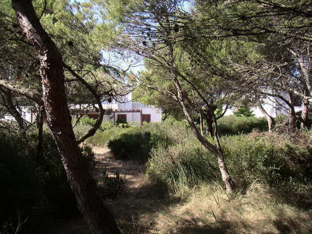 Land in Cala Morell