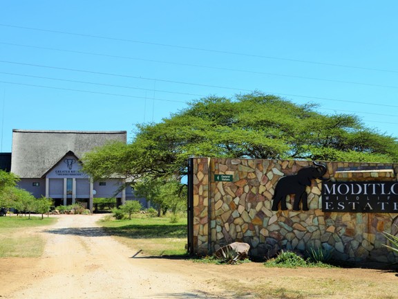 Large 4 ha stand, Moditlo Wildlife Estate