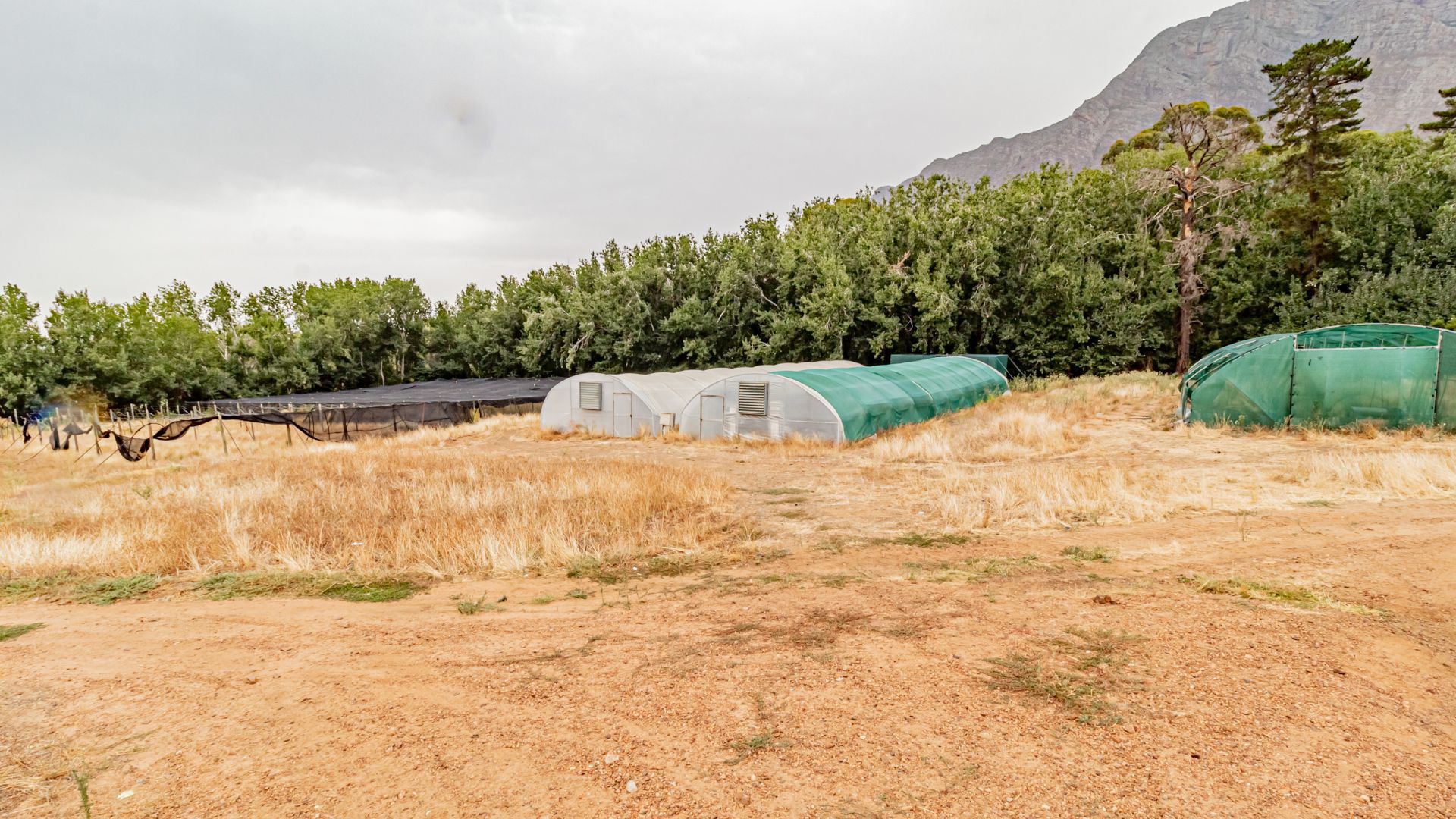 Land in Tulbagh - Image-083.jpg