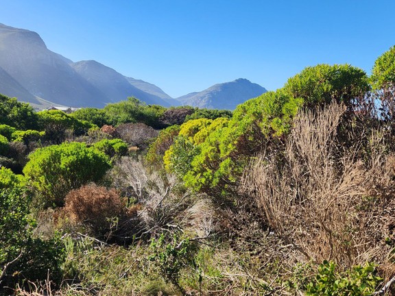 Amazing Mountain views - perfect for your dream Home, Betty's Bay