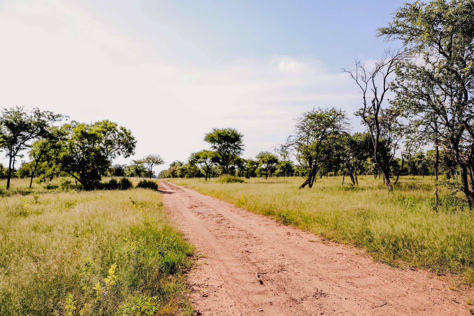 Land in Thabazimbi Rural - Roads on the farm