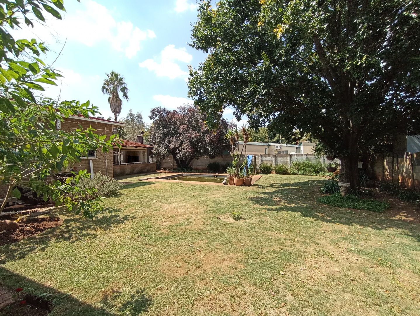 House in Potchefstroom Central - Back garden with swimming pool