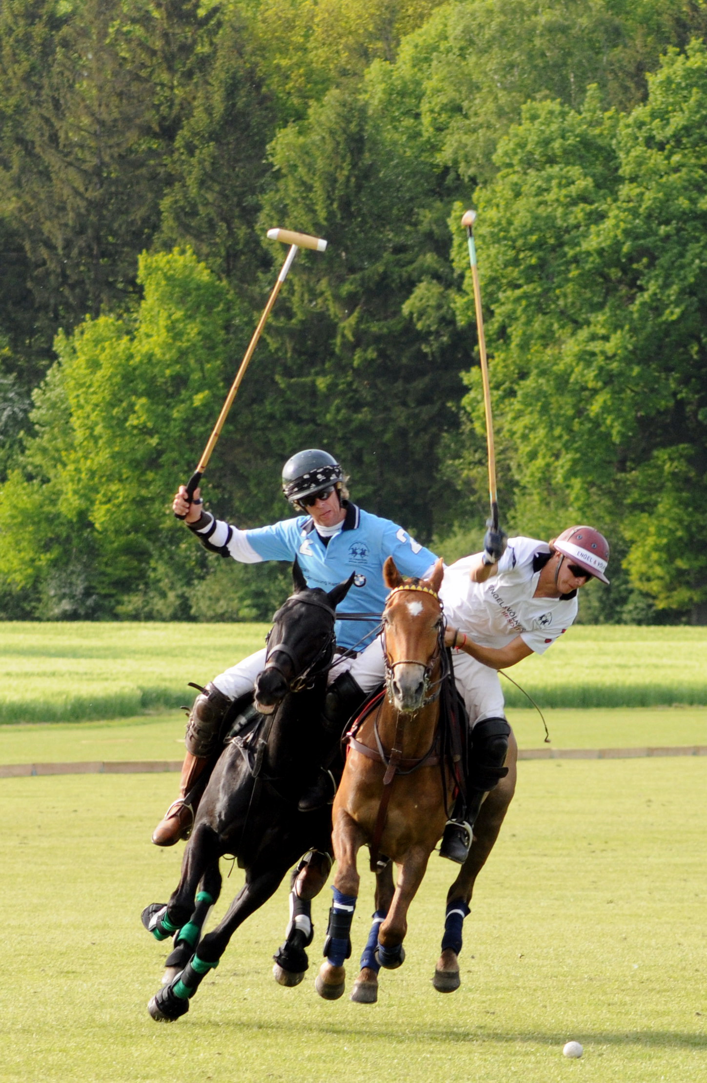 Polo - Sport der Könige Engel & Völkers