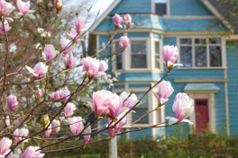 Bring_Spring_Into_Your_Home