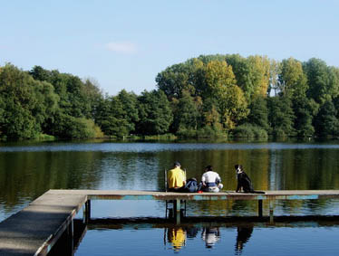 Immobilien Krefeld Immobilienmakler Krefeld Engel Volkers